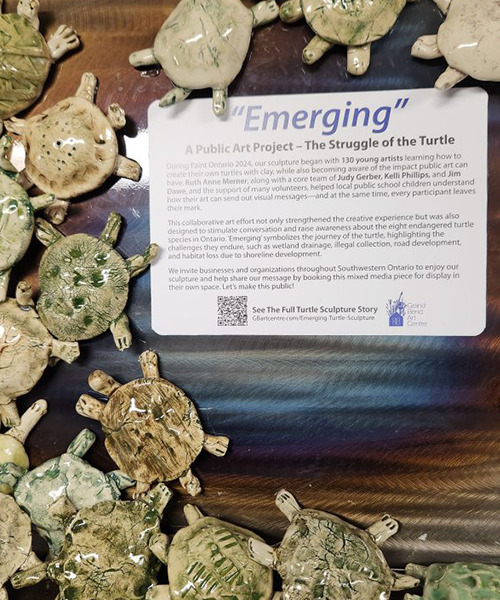 Emerging Turtles Paint Ontario